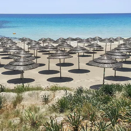 Apartment Narcissos 'nissi Beach' A8 *